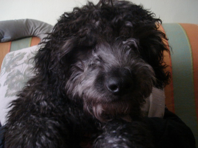 foto de tito articulo